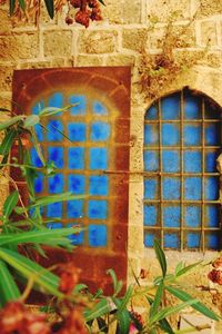 Close-up of window
