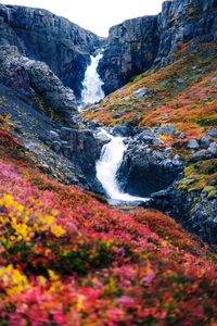 Scenic view of waterfall in forest