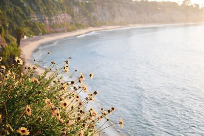 High angle view of a beach