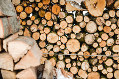 Stack of logs