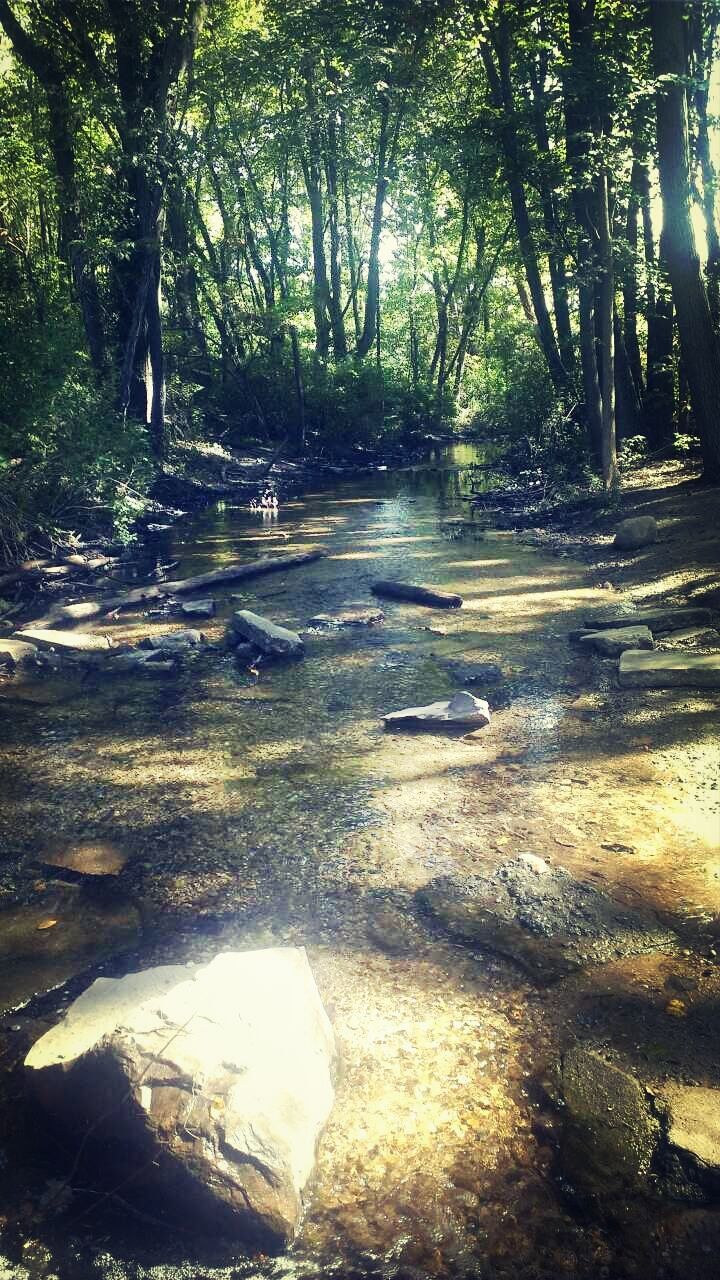 Asylum Lake