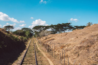 Dirt road along plants and trees against sky