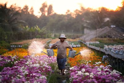 Full length of man watering flowers in field