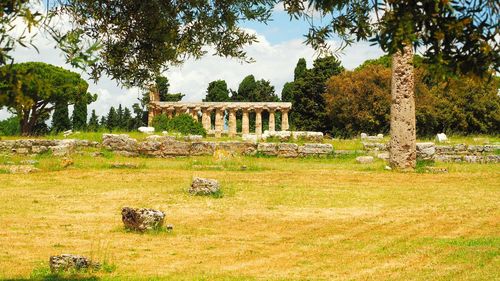 Old ruins in a field