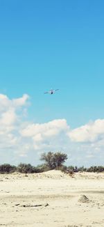 Low angle view of airplane flying in sky