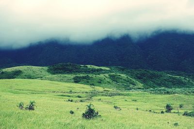 Scenic view of grassy field against cloudy sky