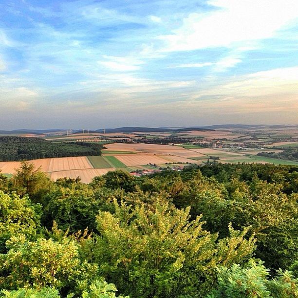 sky, tranquil scene, landscape, scenics, cloud - sky, beauty in nature, tranquility, growth, tree, nature, plant, field, high angle view, rural scene, cloud, agriculture, water, horizon over land, green color, idyllic