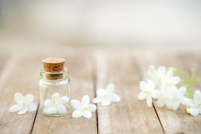 Close-up of white roses on table