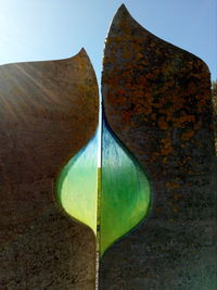 Close-up of leaf against sky