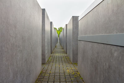 Narrow alley amidst buildings in city