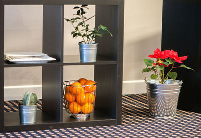 Potted plants in vase