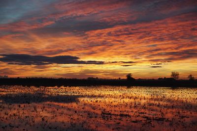 Scenic view of field against sky during sunset