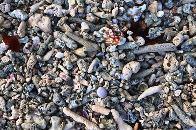 High angle view of stones on beach