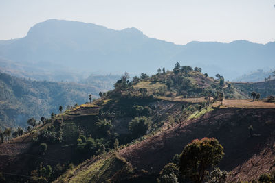 High angle view of trees and mountains against sky