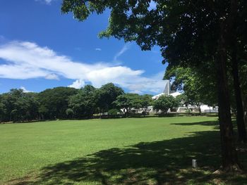 Trees on field against sky