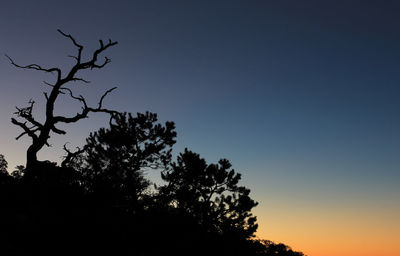 Silhouette of trees against sky at sunset