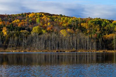 Scenic view of lake against sky during autumn