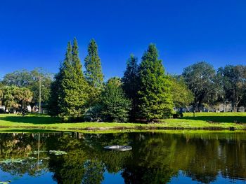 Scenic view of lake by trees against clear blue sky