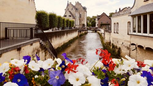 Scenic view of canal amidst buildings in city