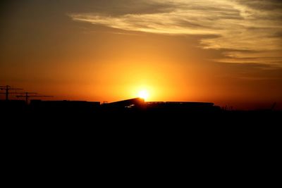 Silhouette of trees at sunset