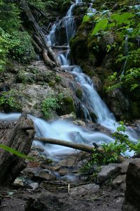 Stream flowing through rocks in forest