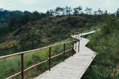 Wooden footbridge amidst trees in forest against sky