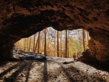 View of trees through rocks