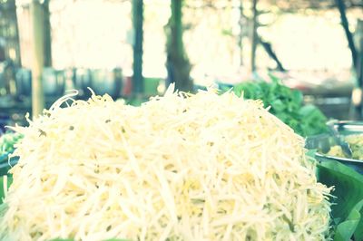 Close-up of chopped bread against plants