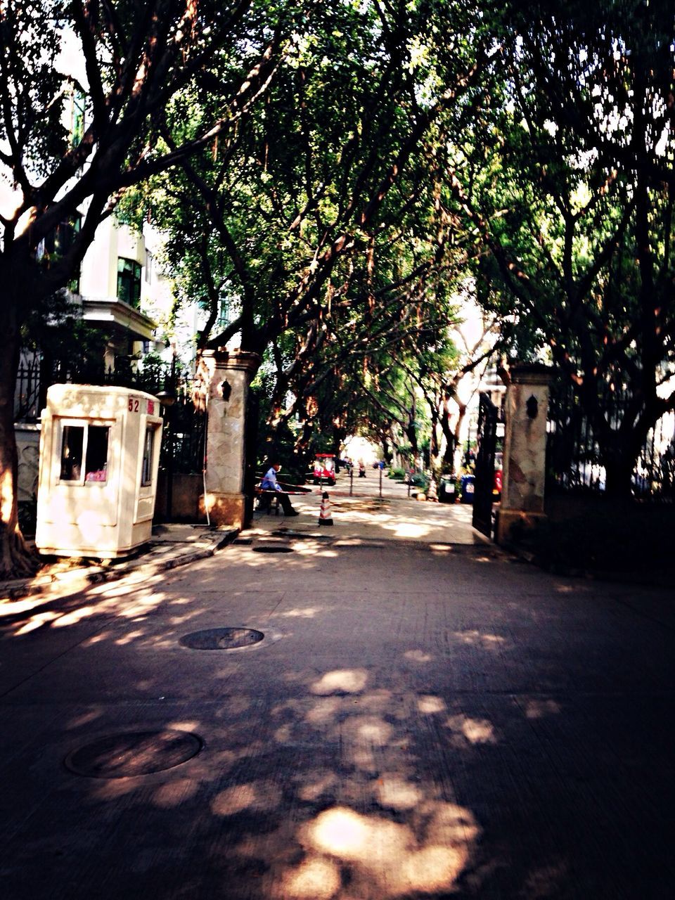 the way forward, tree, street, road, architecture, built structure, building exterior, transportation, diminishing perspective, shadow, empty, sunlight, road marking, vanishing point, city, day, outdoors, footpath, empty road, no people