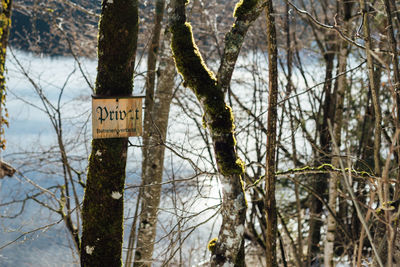 Information sign on tree trunk in forest