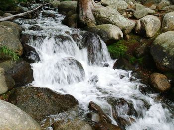 Stream flowing through rocks in forest