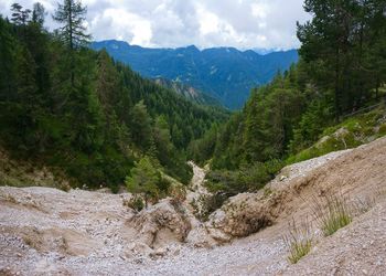 Scenic view of tree mountains against sky