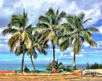 Palm trees on beach against cloudy sky
