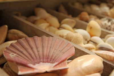 Close-up of vegetables for sale at market stall