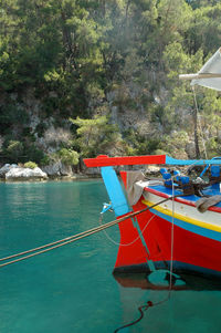 Boat moored on river against trees