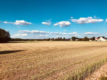 Scenic view of agricultural field against sky