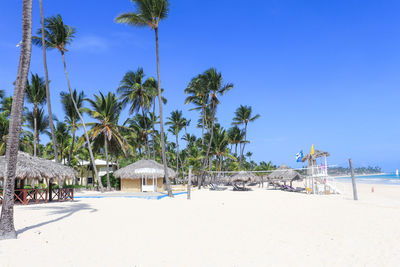 Palm trees on beach against clear sky