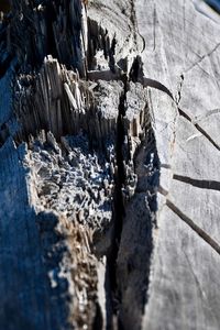 High angle view of frozen water