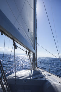 Sailboat sailing on sea against sky