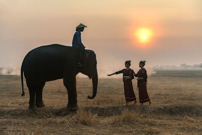 Men on field against sky during sunset