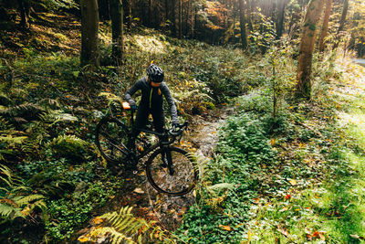 Woman holding bicycle in forest