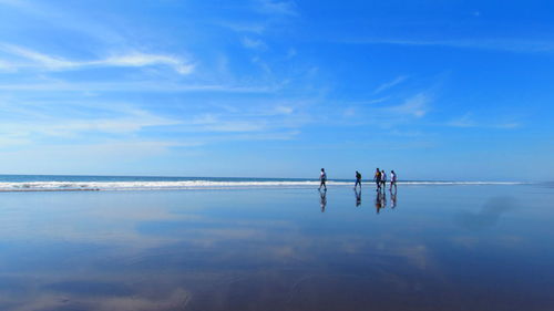 People standing on beach against blue sky