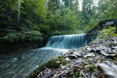 Scenic view of waterfall in forest