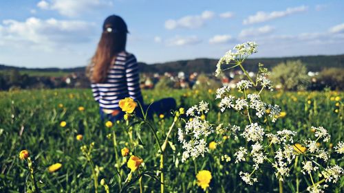 Rear view of woman with yellow flowers in field