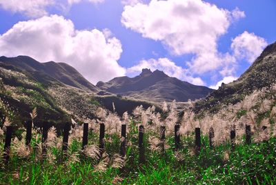 Panoramic shot of countryside landscape against mountain range