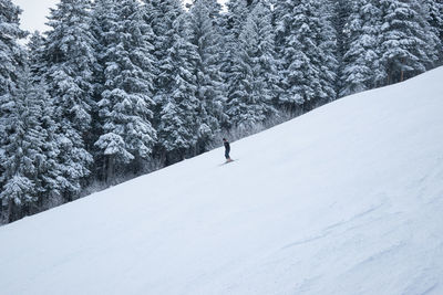 Man walking on snowy field against trees