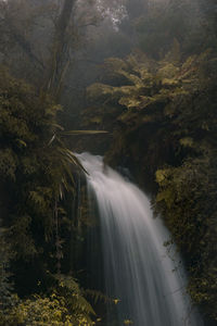 Scenic view of waterfall