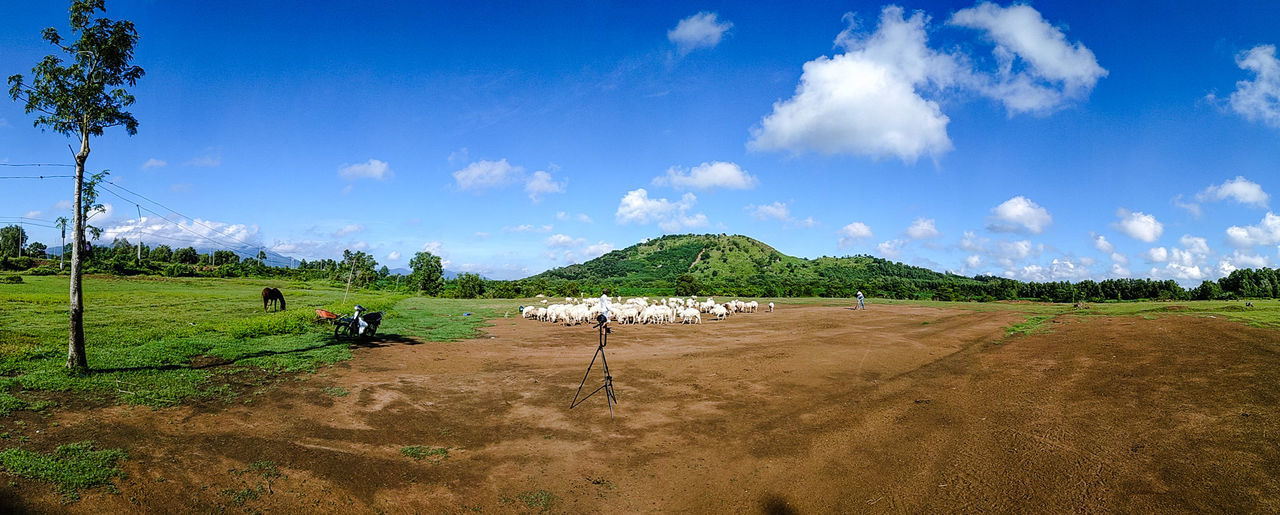 sky, cloud - sky, land, plant, beauty in nature, landscape, nature, day, field, environment, tree, scenics - nature, tranquil scene, real people, grass, green color, tranquility, non-urban scene, growth, sunlight, outdoors