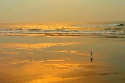 Scenic view of sea at sunset