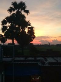 Silhouette palm trees against sky at sunset